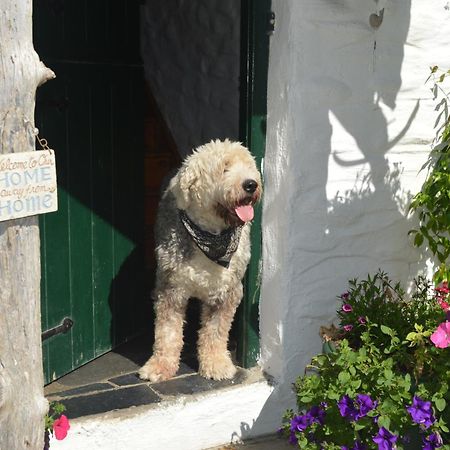 Lissyclearig Thatched Cottage ケンメア エクステリア 写真