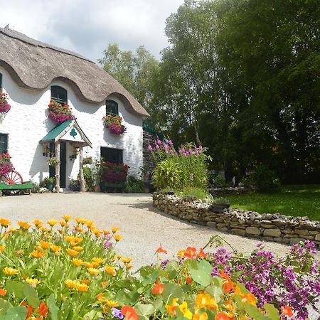 Lissyclearig Thatched Cottage ケンメア エクステリア 写真