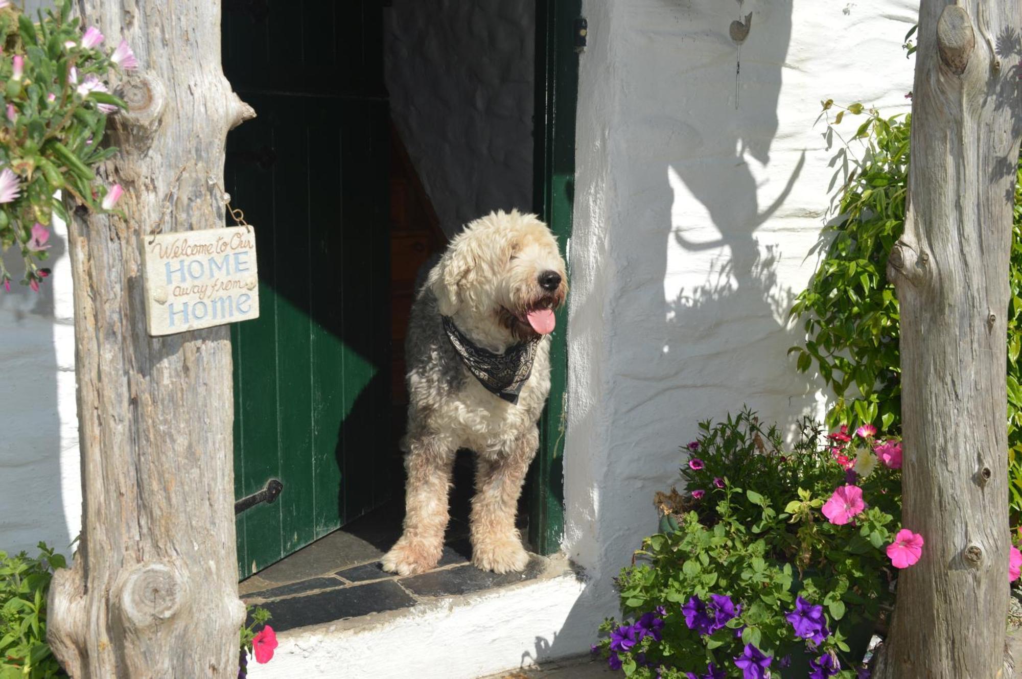Lissyclearig Thatched Cottage ケンメア エクステリア 写真